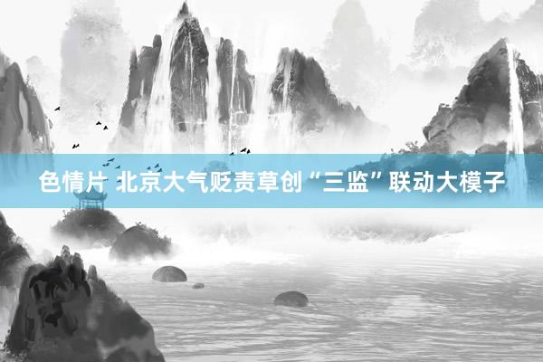 色情片 北京大气贬责草创“三监”联动大模子