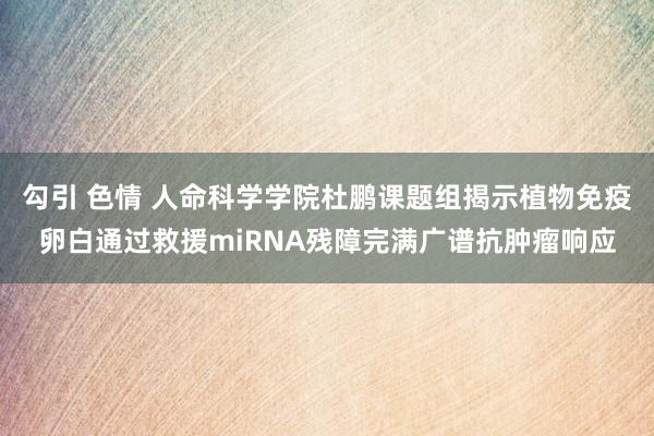 勾引 色情 人命科学学院杜鹏课题组揭示植物免疫卵白通过救援miRNA残障完满广谱抗肿瘤响应