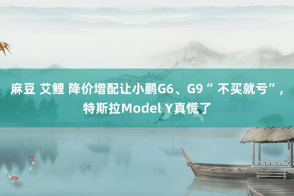 麻豆 艾鲤 降价增配让小鹏G6、G9“ 不买就亏”，特斯拉Model Y真慌了