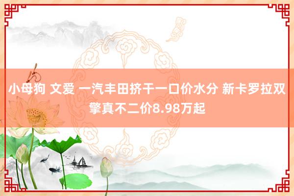 小母狗 文爱 一汽丰田挤干一口价水分 新卡罗拉双擎真不二价8.98万起