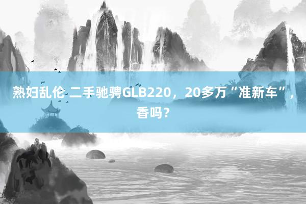 熟妇乱伦 二手驰骋GLB220，20多万“准新车”，香吗？