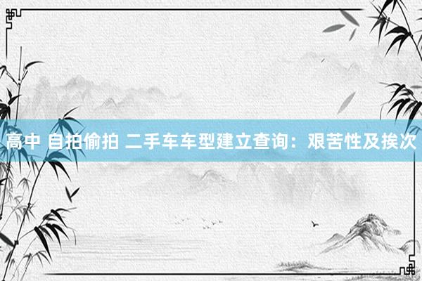 高中 自拍偷拍 二手车车型建立查询：艰苦性及挨次