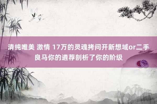 清纯唯美 激情 17万的灵魂拷问开新想域or二手良马你的遴荐剖析了你的阶级