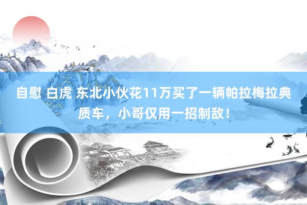 自慰 白虎 东北小伙花11万买了一辆帕拉梅拉典质车，小哥仅用一招制敌！