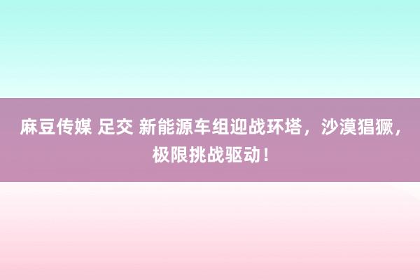 麻豆传媒 足交 新能源车组迎战环塔，沙漠猖獗，极限挑战驱动！