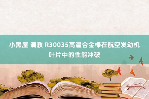 小黑屋 调教 R30035高温合金棒在航空发动机叶片中的性能冲破