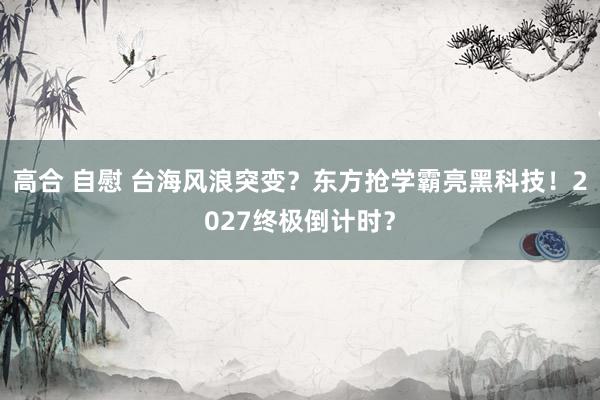 高合 自慰 台海风浪突变？东方抢学霸亮黑科技！2027终极倒计时？