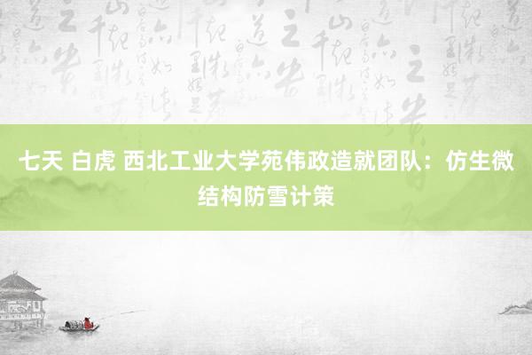 七天 白虎 西北工业大学苑伟政造就团队：仿生微结构防雪计策