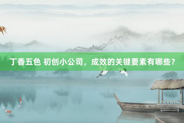 丁香五色 初创小公司，成效的关键要素有哪些？
