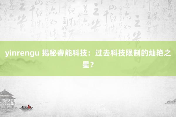 yinrengu 揭秘睿能科技：过去科技限制的灿艳之星？