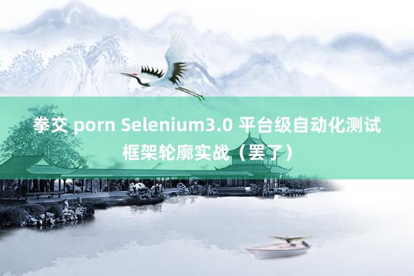 拳交 porn Selenium3.0 平台级自动化测试框架轮廓实战（罢了）
