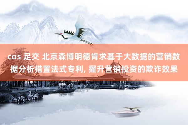 cos 足交 北京森博明德肯求基于大数据的营销数据分析措置法式专利, 擢升营销投资的欺诈效果