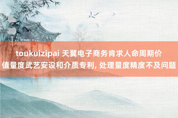 toukuizipai 天翼电子商务肯求人命周期价值量度武艺安设和介质专利, 处理量度精度不及问题