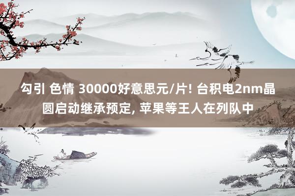 勾引 色情 30000好意思元/片! 台积电2nm晶圆启动继承预定, 苹果等王人在列队中