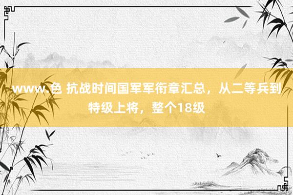 www.色 抗战时间国军军衔章汇总，从二等兵到特级上将，整个18级