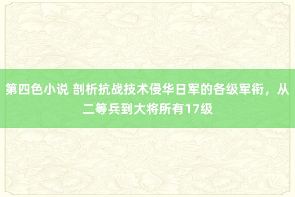 第四色小说 剖析抗战技术侵华日军的各级军衔，从二等兵到大将所有17级
