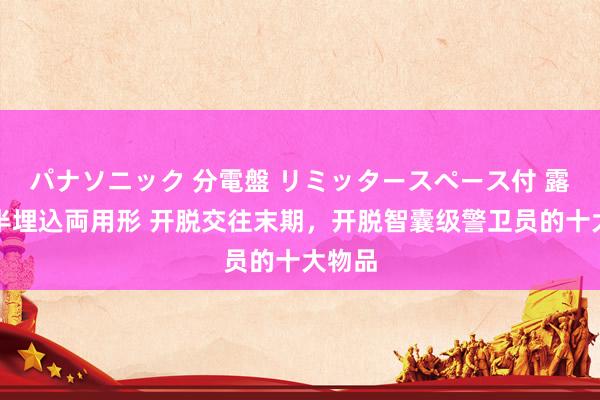 パナソニック 分電盤 リミッタースペース付 露出・半埋込両用形 开脱交往末期，开脱智囊级警卫员的十大物品
