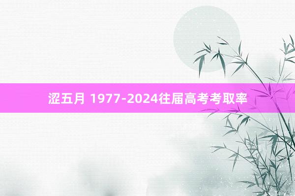 涩五月 1977-2024往届高考考取率