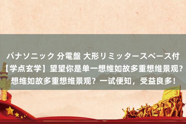 パナソニック 分電盤 大形リミッタースペース付 露出・半埋込両用形 【学点玄学】望望你是单一想维如故多重想维景观？一试便知，受益良多！