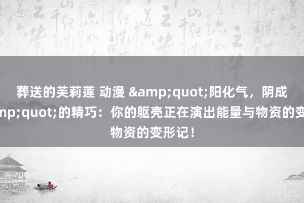 葬送的芙莉莲 动漫 &quot;阳化气，阴成形&quot;的精巧：你的躯壳正在演出能量与物资的变形记！
