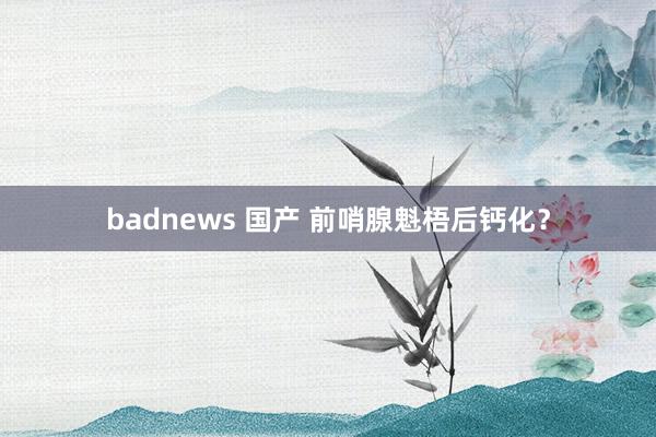 badnews 国产 前哨腺魁梧后钙化?