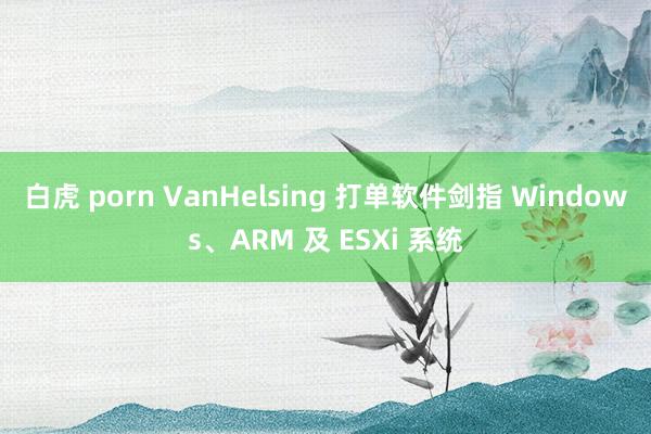 白虎 porn VanHelsing 打单软件剑指 Windows、ARM 及 ESXi 系统